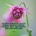 <b>십자</b>가 사랑의 길을 좇아서...