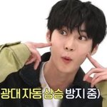 [NCT] 저장<b>공간</b> 부족해서 하는 도영 짤털