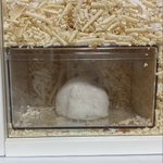 [댓글부탁해] 중3 <b>막학기</b> 버려도 괜찮음?