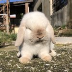 후드<b>티</b>나 <b>맨투맨</b> 브랜드 ㅊㅊ 좀