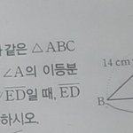 수학 잘하는 ㅅㅏ람ㅜㅜ
