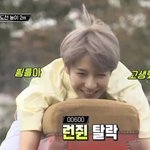 [NCT즌] 뜀틀안고잇는 <b>런지</b>니