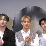 [나만이런가] <b>배진영</b> 참 이상형