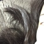 <b>고앵이</b>베개ㅋㅋ