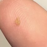 우리 집 까미 좀 봐 줘 ㅠㅠ 너무 기엽지