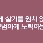 틀지마라 정시 문이 진짜 좁다...