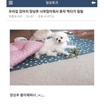 [댓글부탁해] 뒷담까고 앞에서 친한척하는거