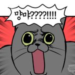 [댓글부탁해] 빡공<b>시대</b> 본 판<b>녀</b>들아 이러면 되?