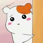 높은기준