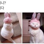 [댓글부탁해] 머야 <b>쯔양</b> 돌아옴?