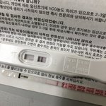 [댓글부탁해] 확실히 임신아니겠지