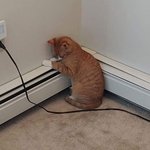 애써 사드렸는데 왜그러시는 거예요...?
