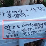 “고양이 <b>밥</b>주는 <b>X</b> 공기총으로 사살” 캣맘 협박글 논란