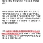 군대 문제 공식에서도 아예 딱 잘라서 말했네
