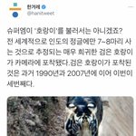 아니 이거 너무 의식의 <b>흐름</b>임