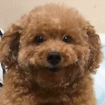 낼 스킨<b>푸드</b> 홍대점 사람 많을까?