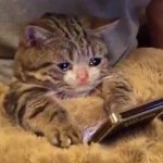 [방탄소년단] 공지 나가고 나서