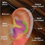 [추반] 피어싱 이렇게하는거 ㅇㄸ