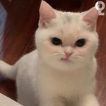 [세븐틴] <b>캐럿</b>들아 나 하나만 알려줄래!!