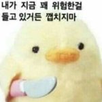 [이것좀봐줘] <b>틱톡</b>봤는데