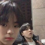 [트레저] 얘네 <b>합</b>이 너무 좋음