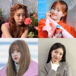 내 여<b>돌</b> 취향 봐주<b>셈</b>