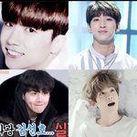 난 소나무임