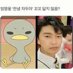 [드루와] 얘들앙 둘중에 뭐살까