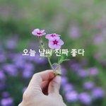 [감성글] 오늘 날씨 진짜 좋다.