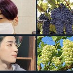 [빅톤] 아니ㅋㅋㅋ찰떡이네