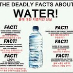 지금 레이디가가 feel <b>special</b>에 춤추고있다