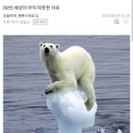 [댓글부탁해] 집착광공이 뭐야