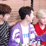 [펜타곤] 그래듀 고기랑 <b>두유</b>