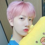 [반박안받음] <b>함원</b>진 '함' 봐줘 (강경함깅파)