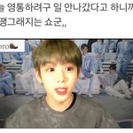 [NCT] 나처럼 쇼며든 사람 있냐