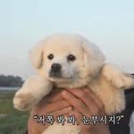 릴러말즈 노래 추천해줘!!!!