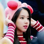 [드루와] ㅇㅈㅎ이랑 ㅈㅁㅇ이랑은 왜 엮이는 거?