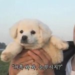 [드루와] 덥은 ㄹㅇ 잘생긴애 옆에 잘생긴애 <b>오짐</b>