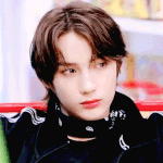 휴닝카이 동물 <b>모에</b>화