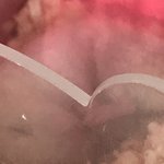 우리 햄스터 자는거 ㄹㅇ 말랑<b>콩떡</b>