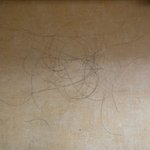 야 나 탈<b>모임</b> ? 개급해 ㅃㄹ들어와봐