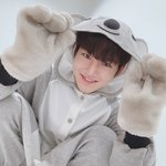 [모두드루와] 쿼카랑 코알라 닮은 남자아이돌