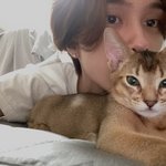 웨이션브이가 키우는 <b>강쥐</b> 애옹이