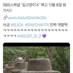 [방탄소년단] 오늘 밤 11시에 습스에서 길고양이