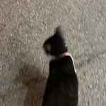 방금 개<b>민폐</b>짓 함..