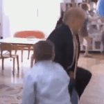 고집쟁이 람뿌 꾸꾸우후<b>오오</b>후우꾸꾸