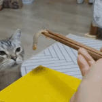 아니 진짜 돌덕질이랑 배우덕질이랑 <b>천지</b>차이네