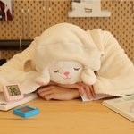 [ㅈㄱㄴ] <b>담요</b>색좀 골라줘