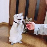 나 우리<b>학교</b>에서 진짜 실망했던거ㅋㅋ