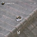 [김재중] [인스타] 스토리 업뎃됐당